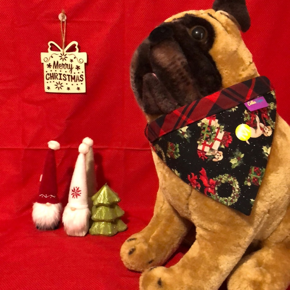 Pet Bandannas